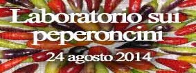Laboratorio peperoncini 24 agosto 2014 Biofestival