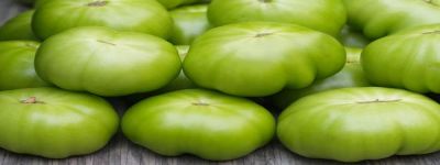 Pomodori verdi e patate germogliate
