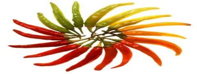 Laboratorio sul peperoncino piccante