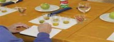 Mini-corso di degustazione olio extravergine di oliva