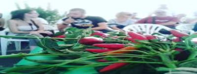 Mini corso sul peperoncino piccante - Massignano AP
