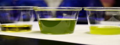 Corso olivo, olio extravergine di oliva e cereali antichi