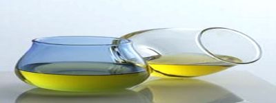 Degustiamo l'olio di oliva