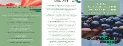 Io resto a casa - Aziende Copagri con consegne a domicilio