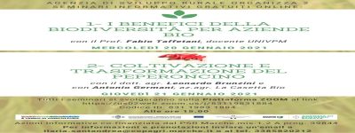 Seminario online sul peperoncino piccante