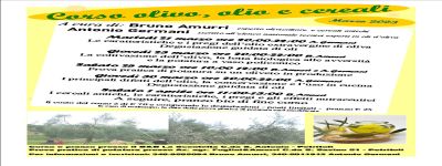 Corso olivo, olio d'oliva e grani antichi
