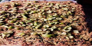 Cecìna alle olive alla Mirtillo Viola con farina di ceci