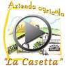 lacasetta play video